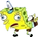 spongederp