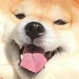 yay