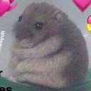 A small gray hamster huddled in a ball surrounded by pink heart icons.