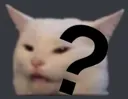 confusedcat confusedcat