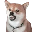 Angery
