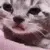 sadCat