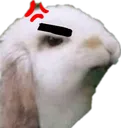 engeerr engeerr