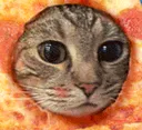 PizzaCat