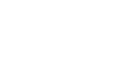 penguin2