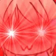 weebWoke weebWoke