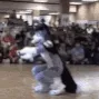 Furry