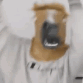 HanDance