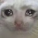 cry