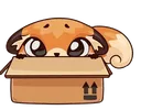 foxhiding