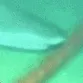 cableshark