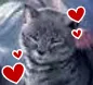 fumio_love