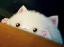 BongoCatIRL BongoCatIRL