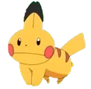 pikakip