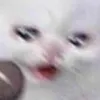 pweaseijust