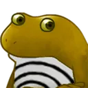 PoliFrogeYellow