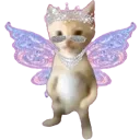 fairy_homie