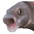 OOOO OOOO