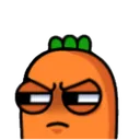 carrotstare