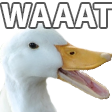 waat Discord Emoji from ⸂𝕷⸃ LUST