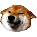 Shiba Sad Discord Emoji