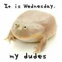 wednesday wednesday