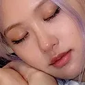 RoseSleepy RoseSleepy