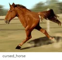 SpeedyJack