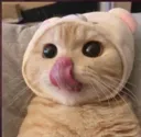 Cat_Lick