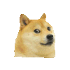 doge