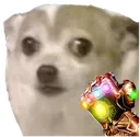 SmolSnap