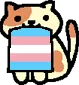 transcat