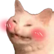ekez
