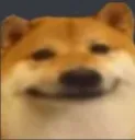doggobruh