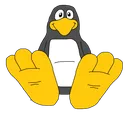 lee_toe
