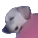 sleepdog