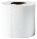 ToiletPaper