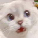 fearcat