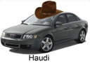 haudi haudi