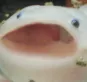 onofish