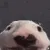 walter_bonk