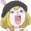 carrotpog carrotpog