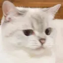 hmm