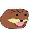EBIN
