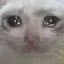 sad