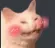 Blushcat blushCat Discord Emoji
