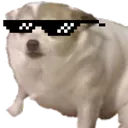CoolConcern