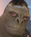 tebruh