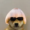 Tylerthedoggo Tylerthedoggo