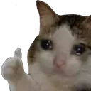 thumbsup_cat